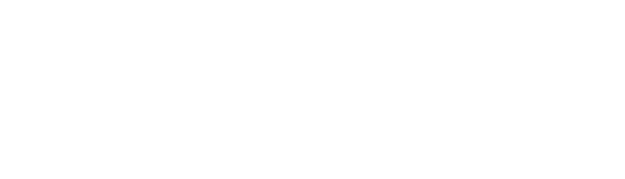 Novikov logo