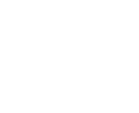 St. Regis İstanbul logo